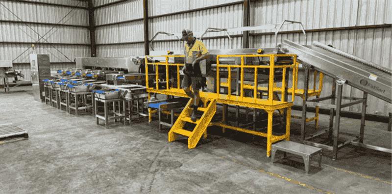 images/1773909051838Australian-Jujube-Grading & Packing-Line-successfully-installed.png